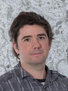 Training & Conferences - Trainer picture - Ilya Belevich