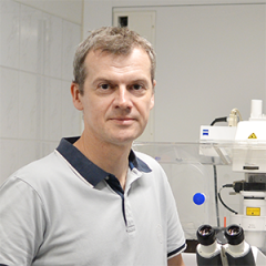 VIB Training & Conferences - Trainer picture - Tomasz Wegierski